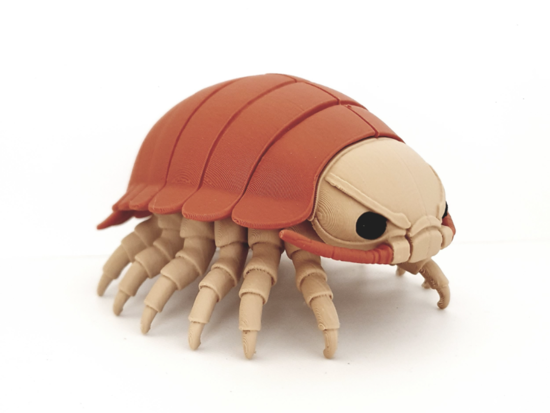 Giant Isopod