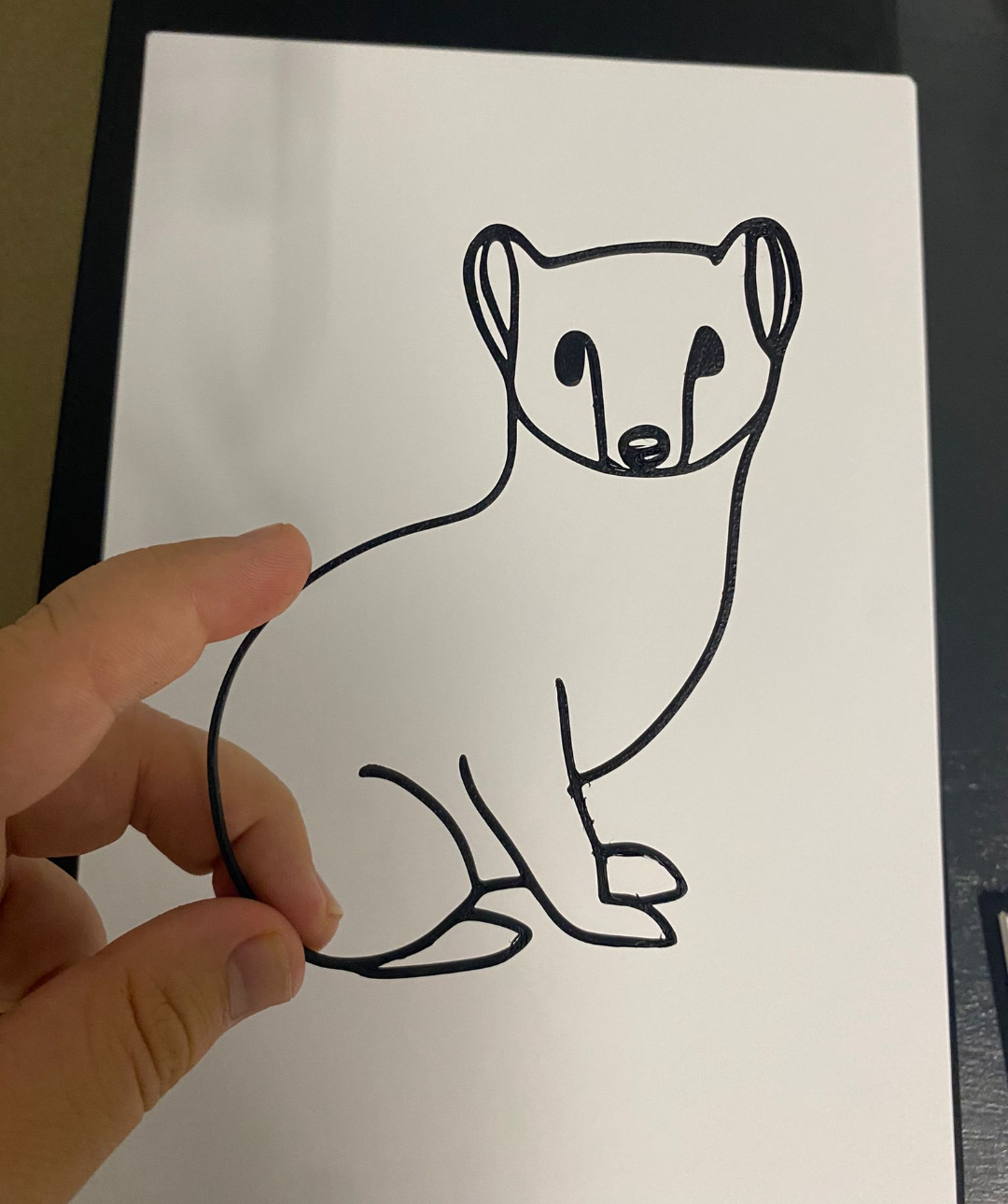 wasel polyline