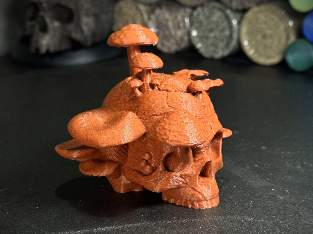 The reclaimed skull