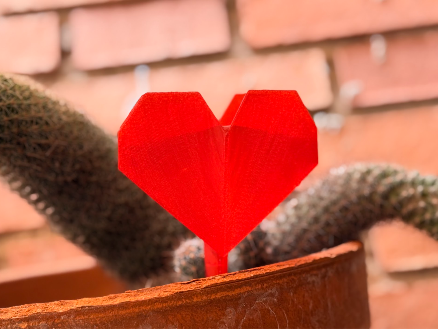 Corazón pipeta autoriego