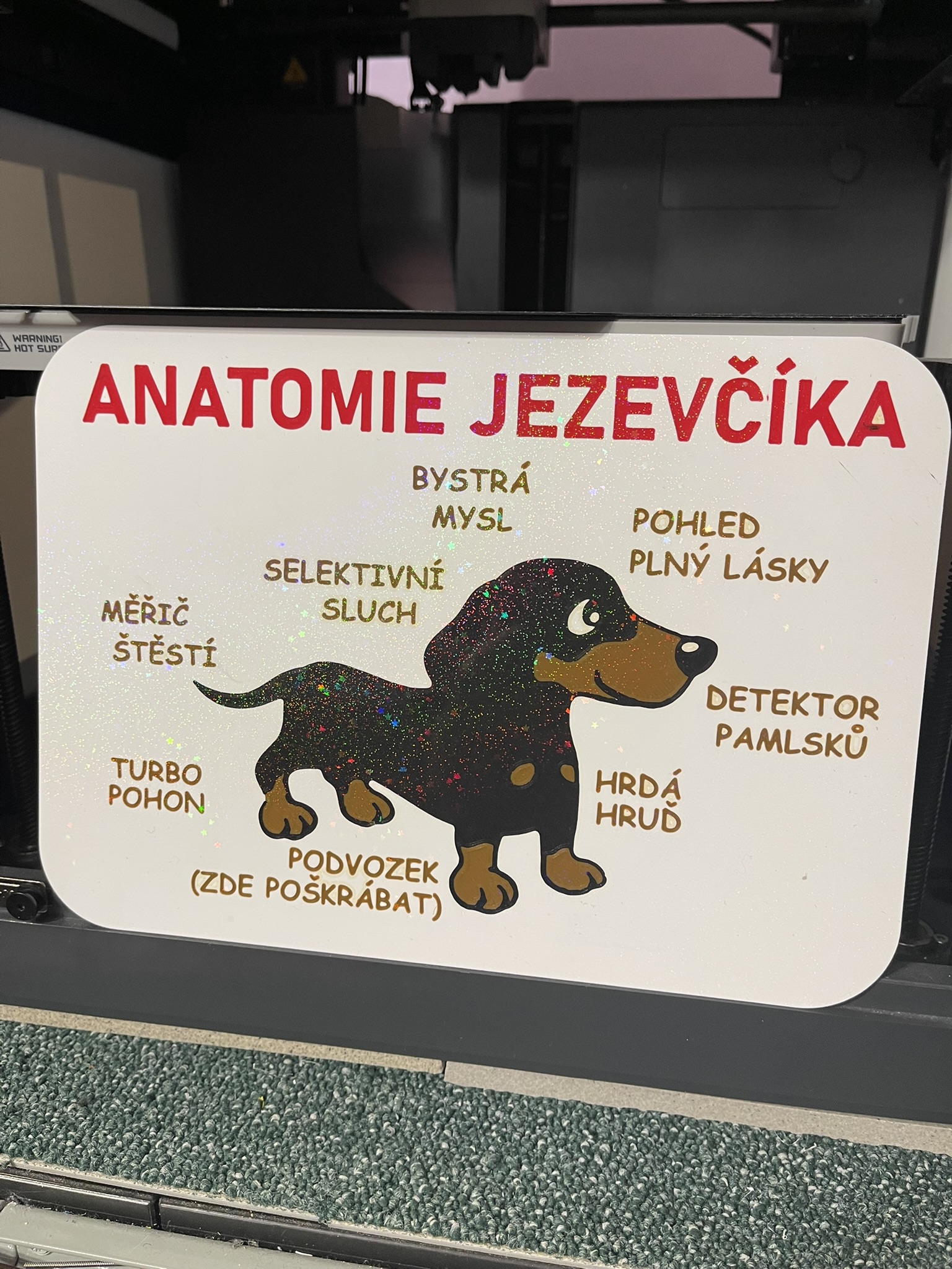 CZ - Anatomie jezevcika - cedulka - CZ