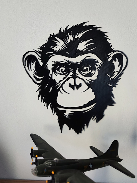 Head of Chimpanzee