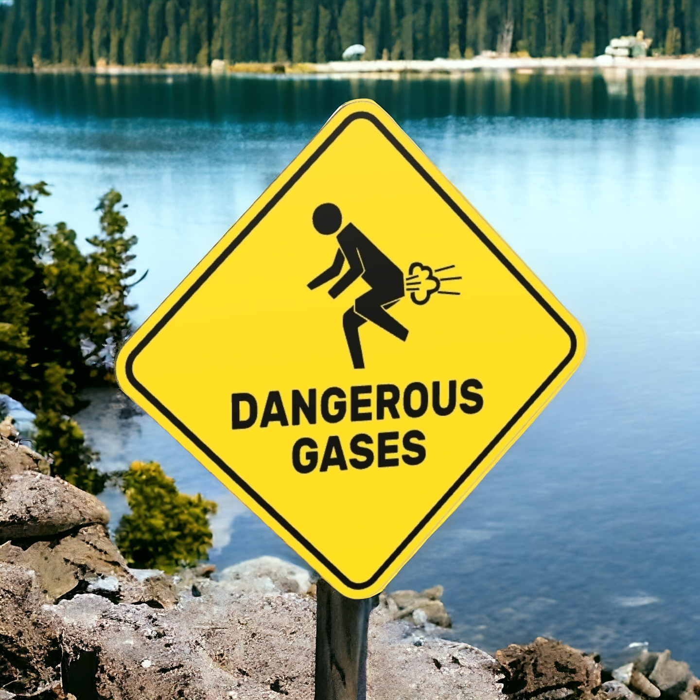 Plate Dangerous Gases
