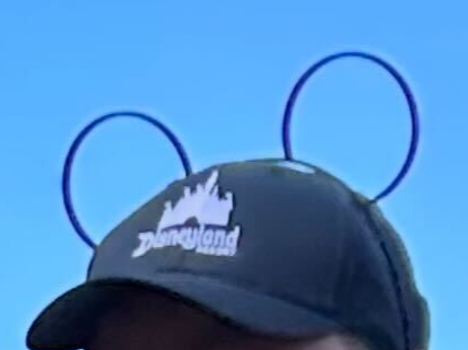 Mouse Ears