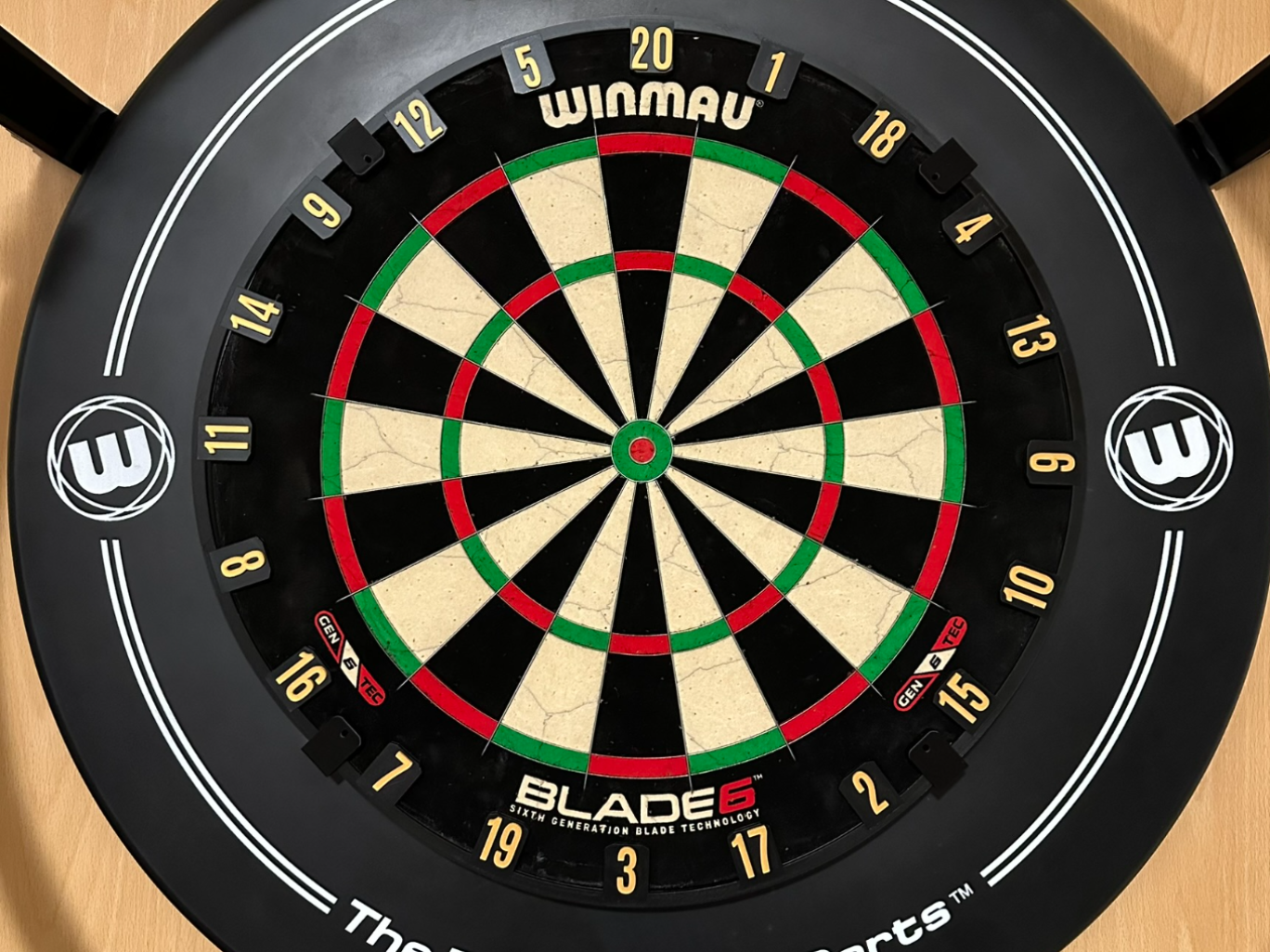 Dartbord Zahlenring mit Halterungen Mag.
