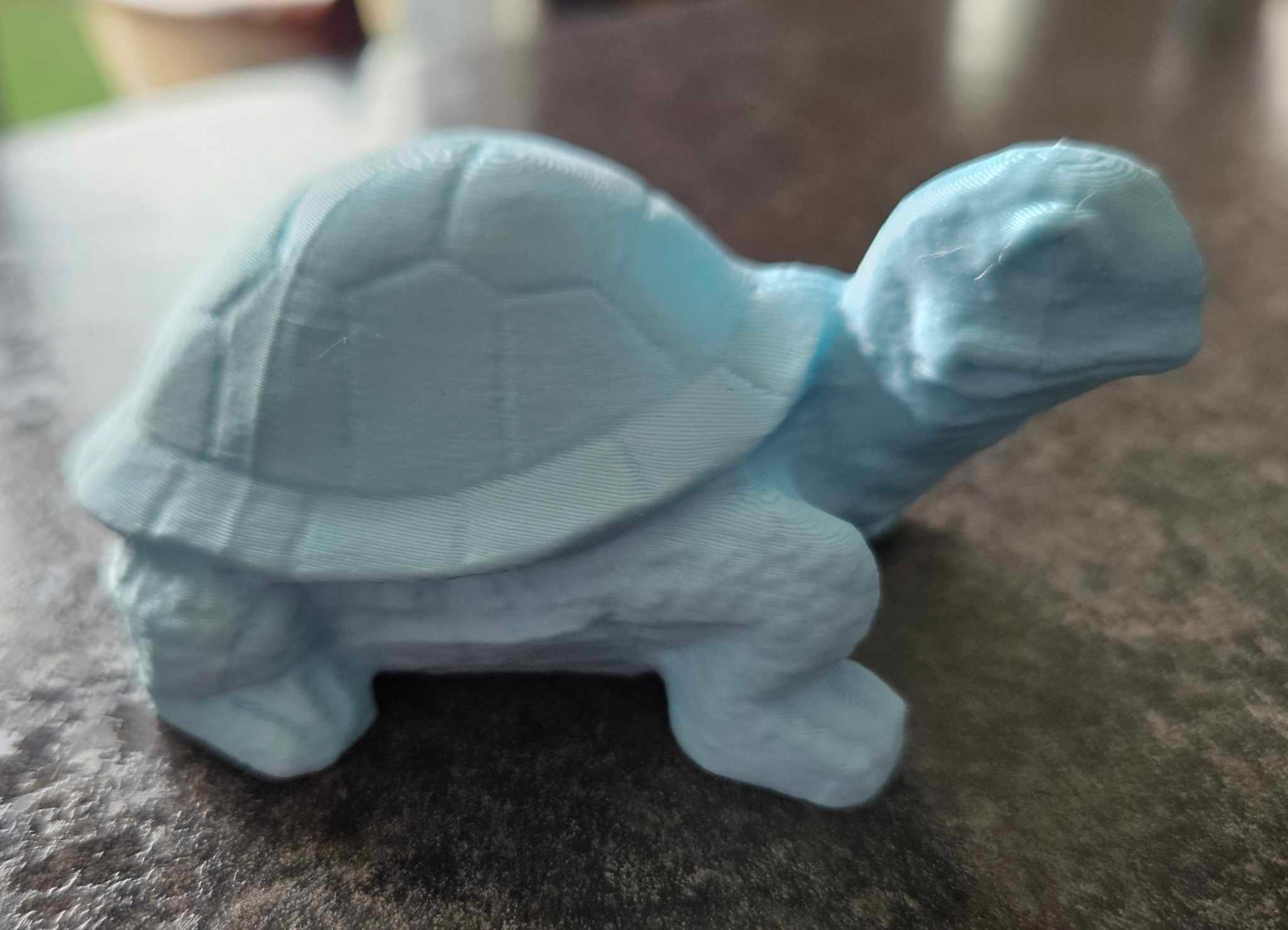 Tortoise