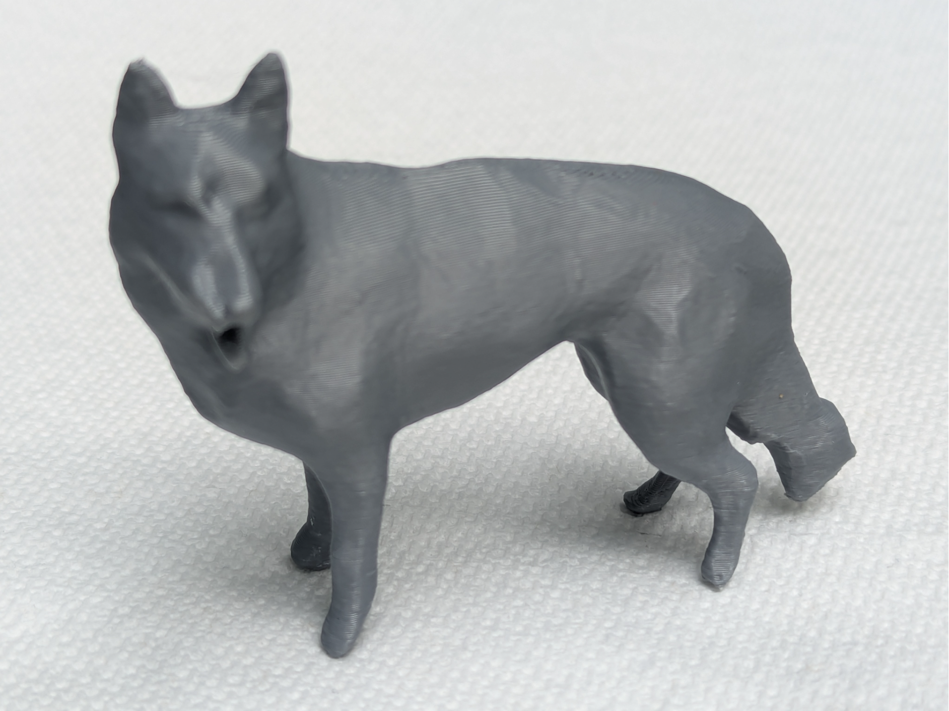 German Shepard
