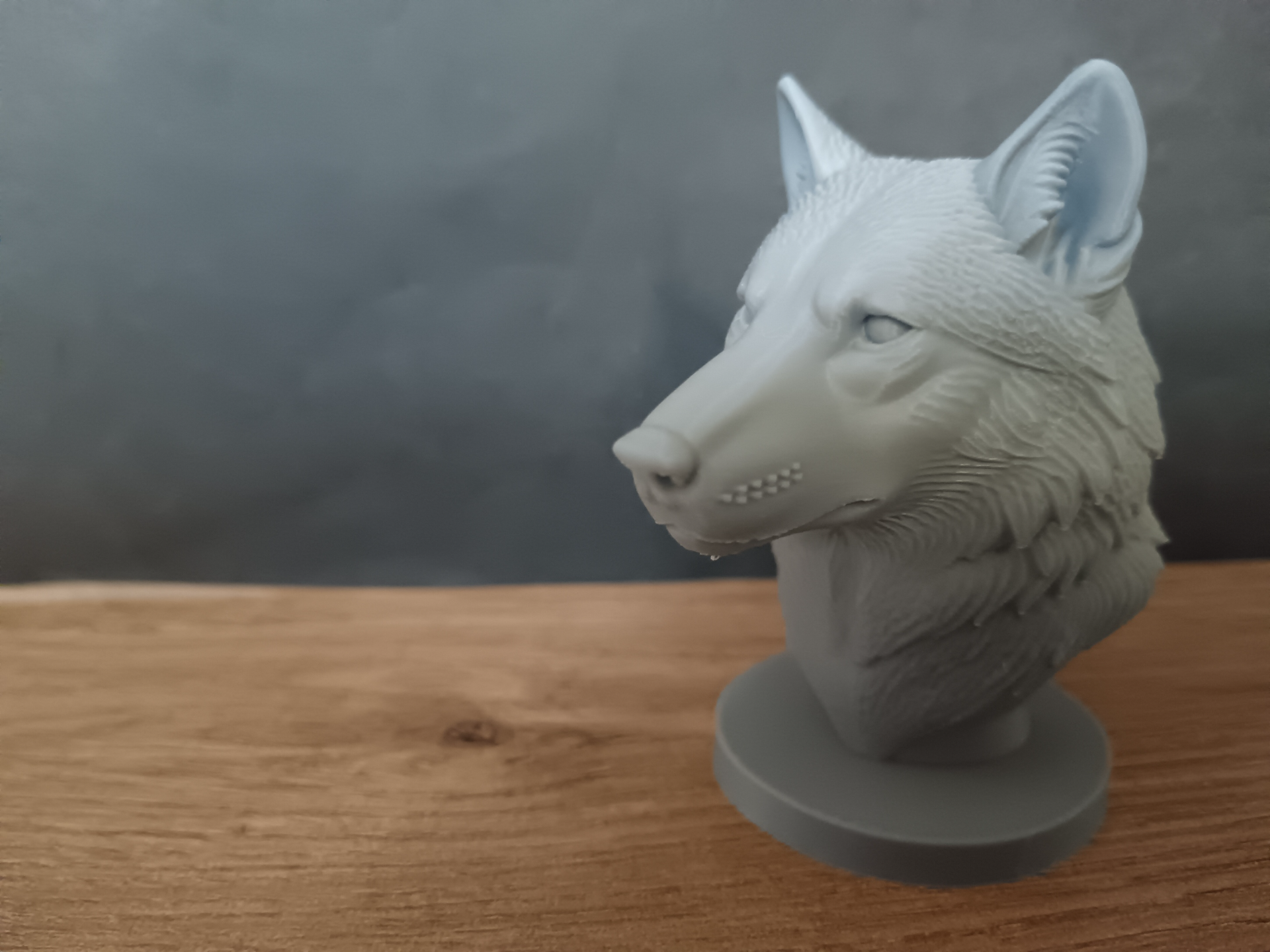 Wolf bust
