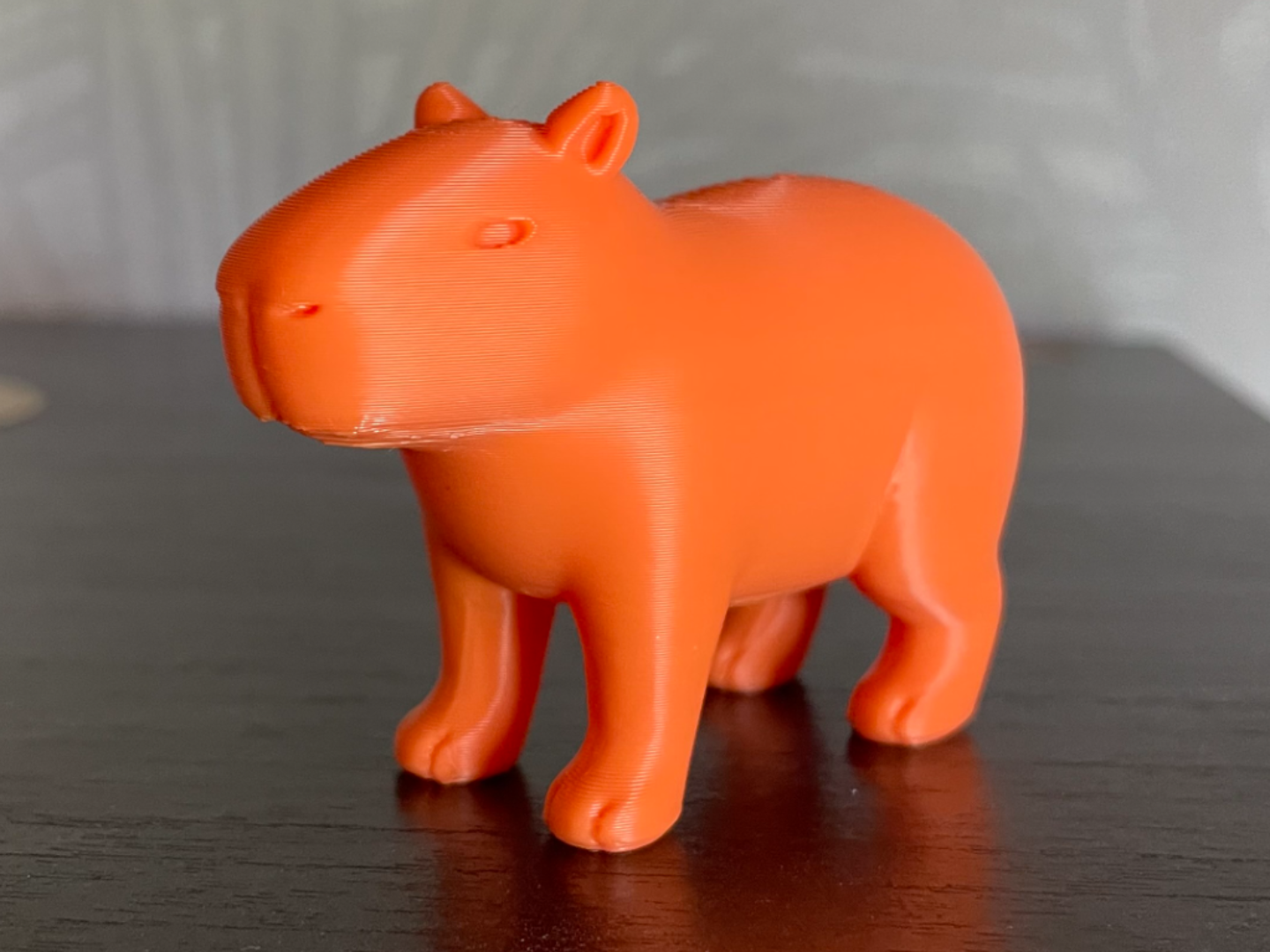 Capybara - Minimalist Design
