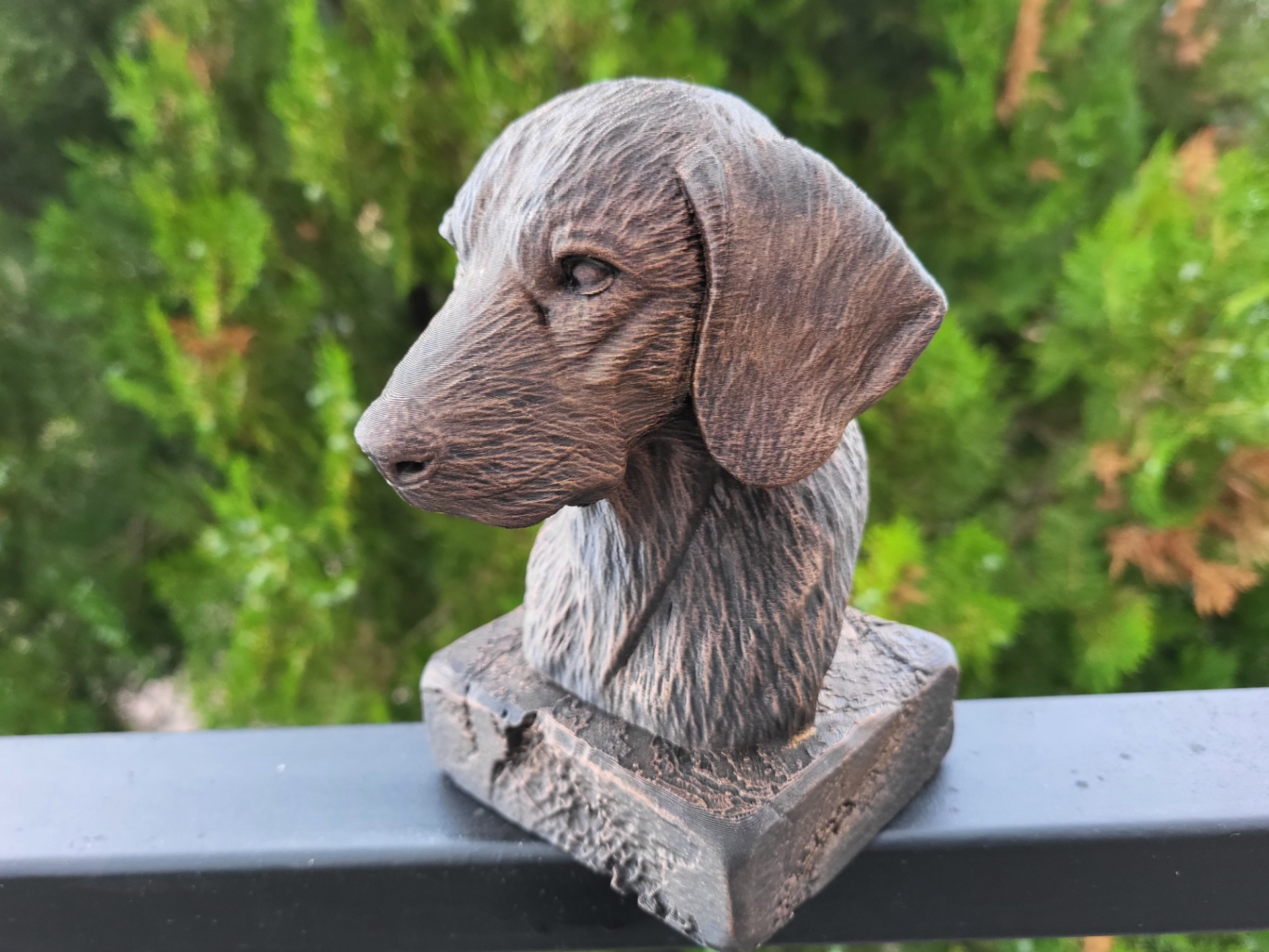 PLOTT HOUND BUST
