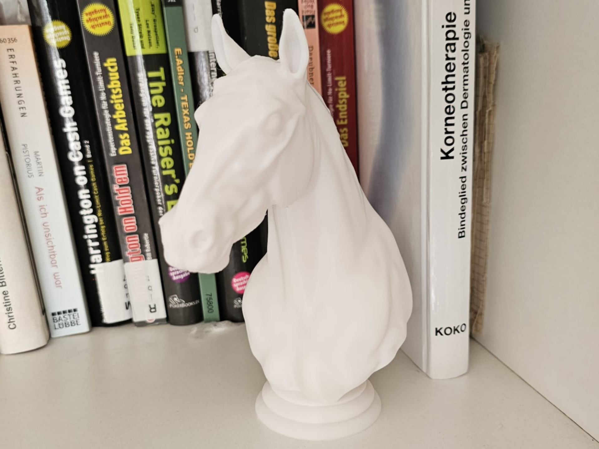 HORSE BUST