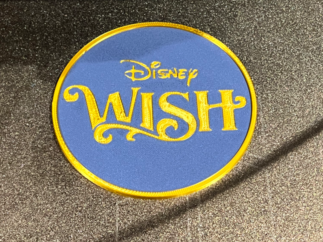 Disney Wish Coaster