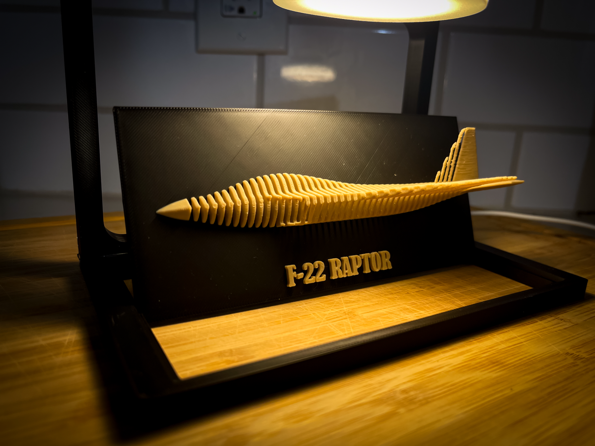 F22 Raptor Fighter Jet - Layered Art Sculpture