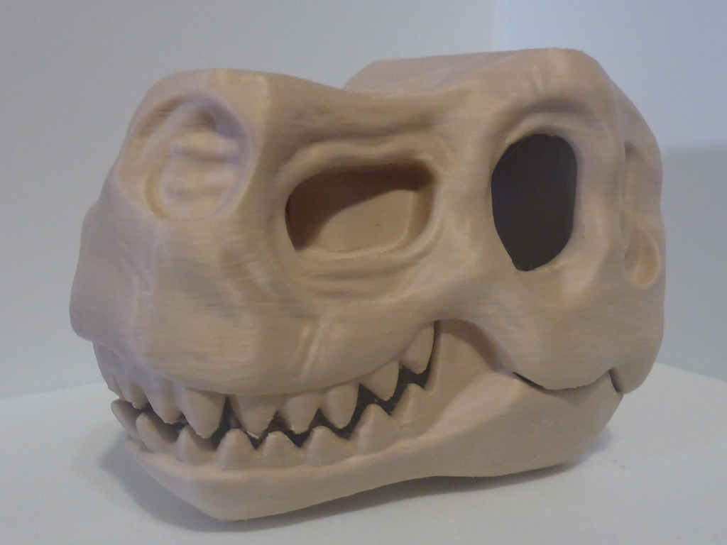 T-Rex Skull