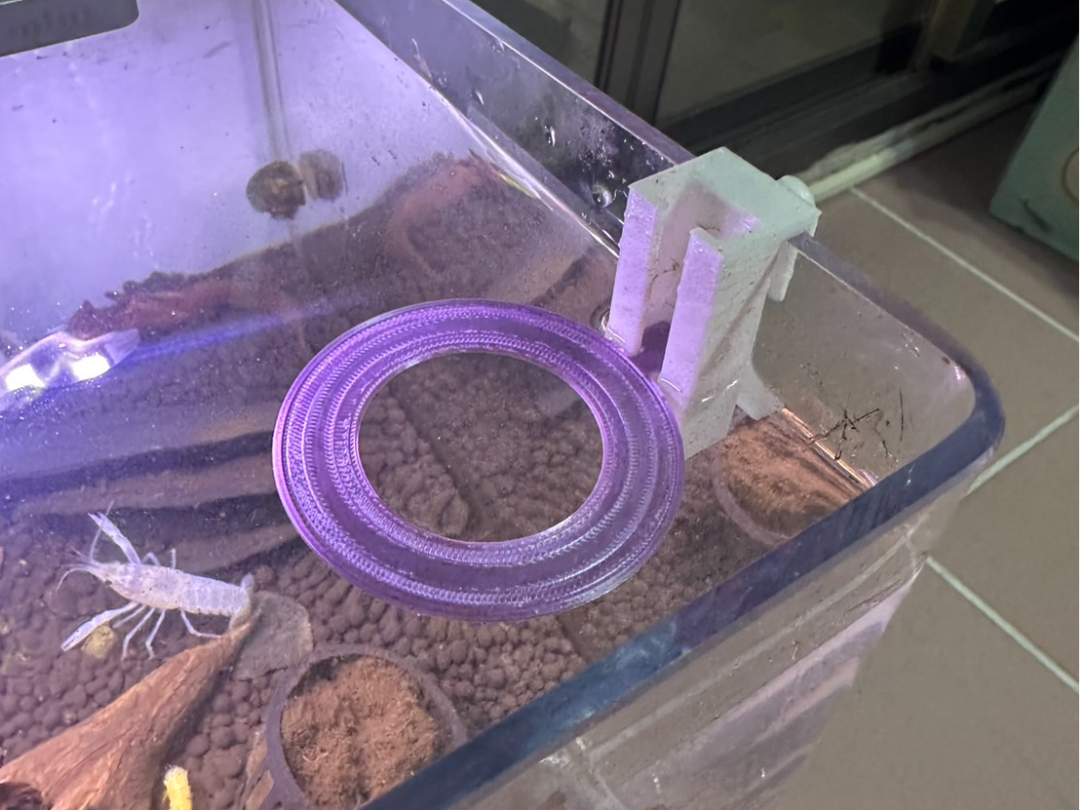 fish feeding float