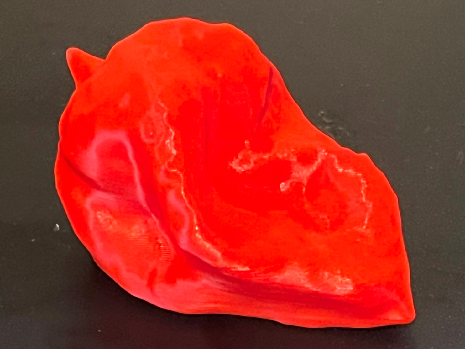 Chilli (Life size scanned)