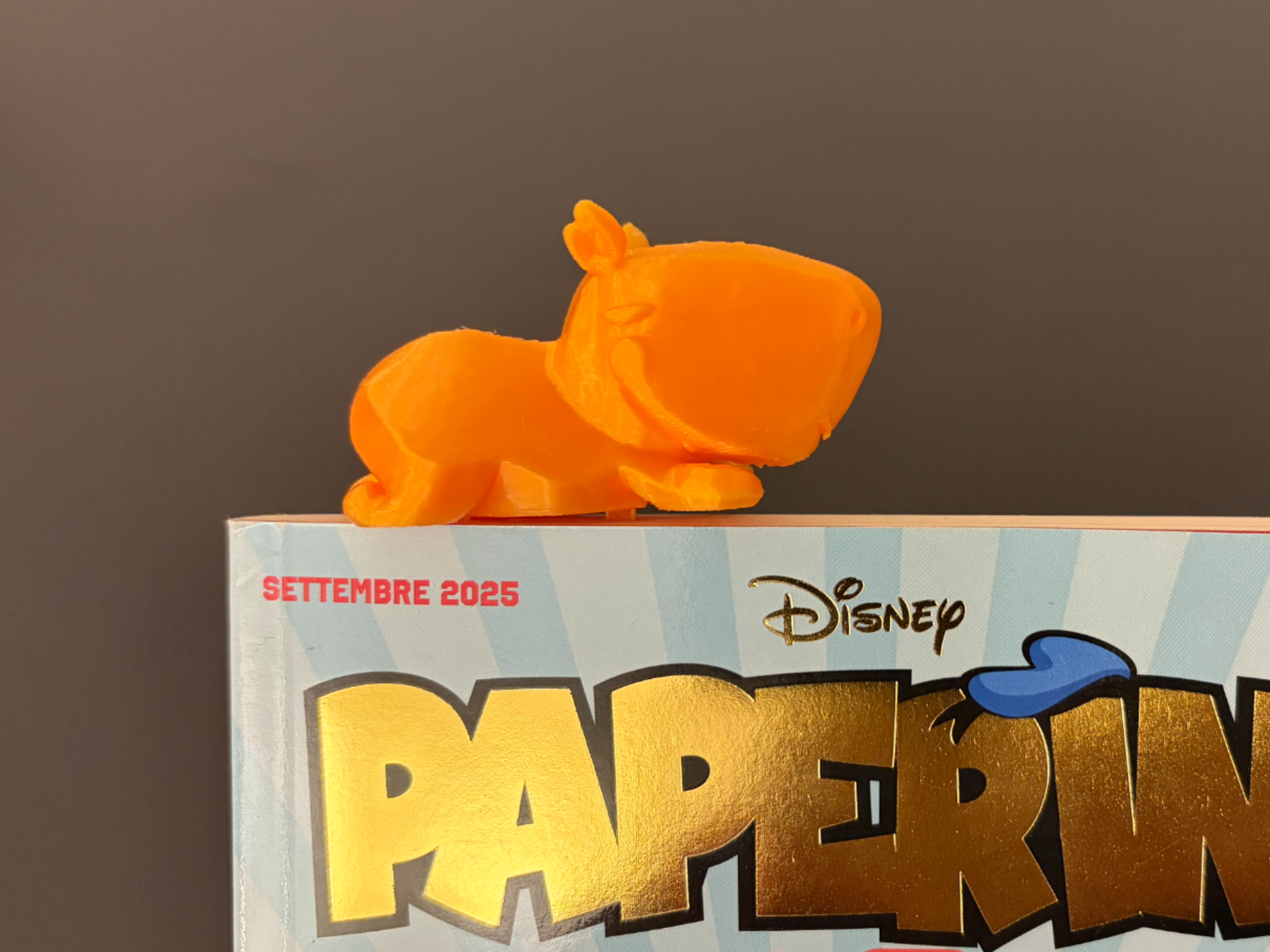 Animal Bookmark - Capybara - Interchangeable 15cm