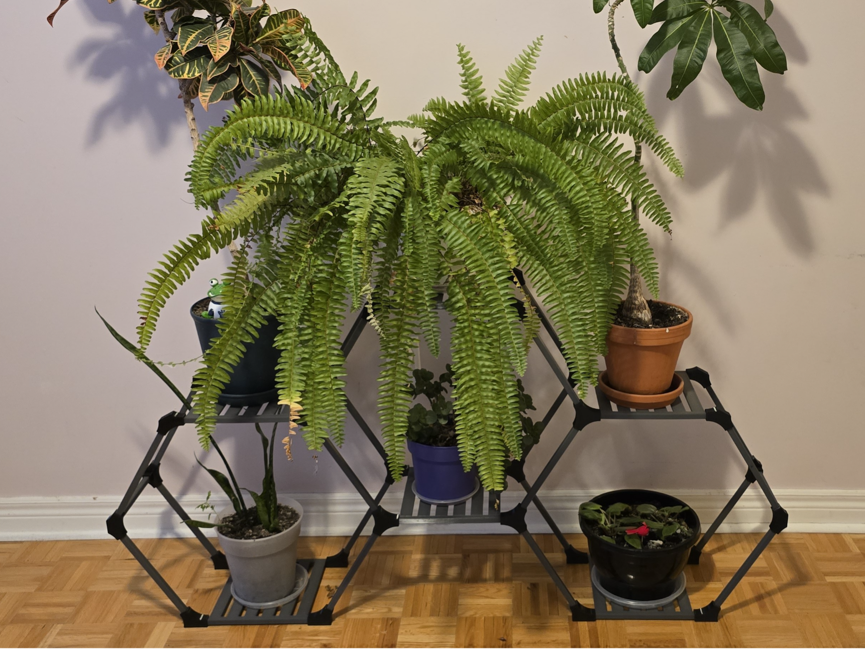 Hexagonal Plant Shelf System