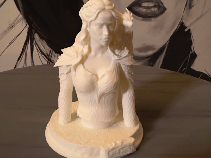 Girl with a dragon