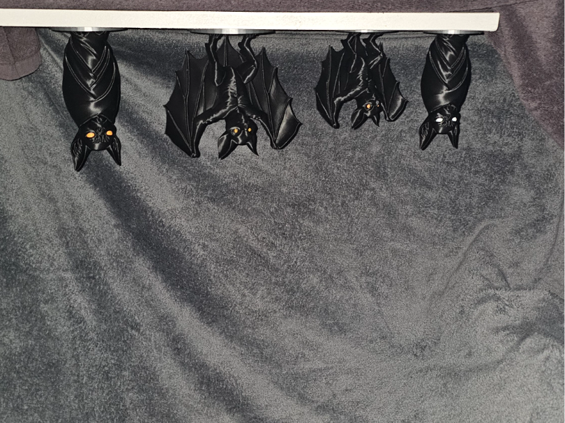 Beautifull Bats