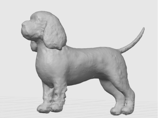 Cocker Spaniel