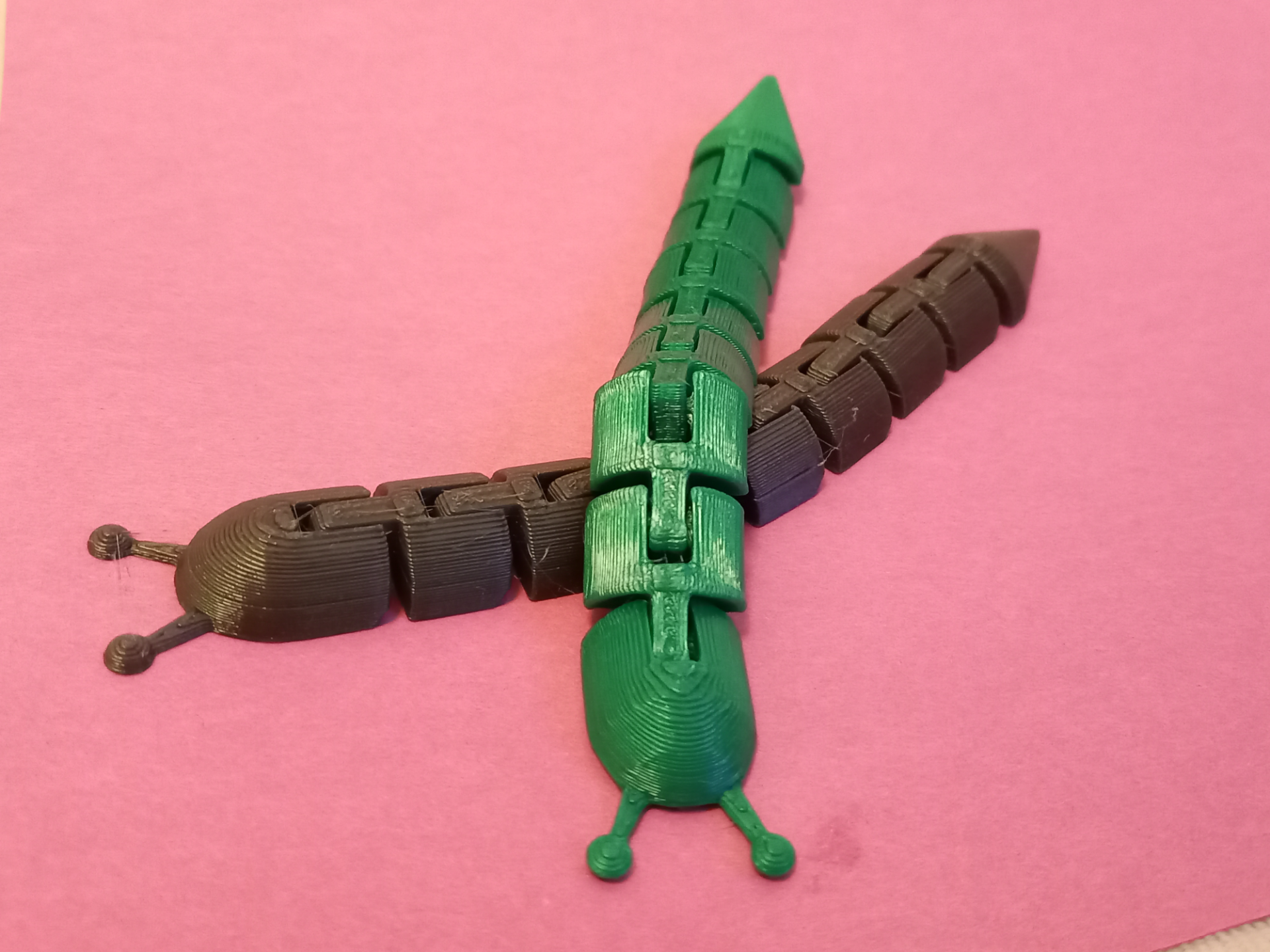 Long Articulated Slug