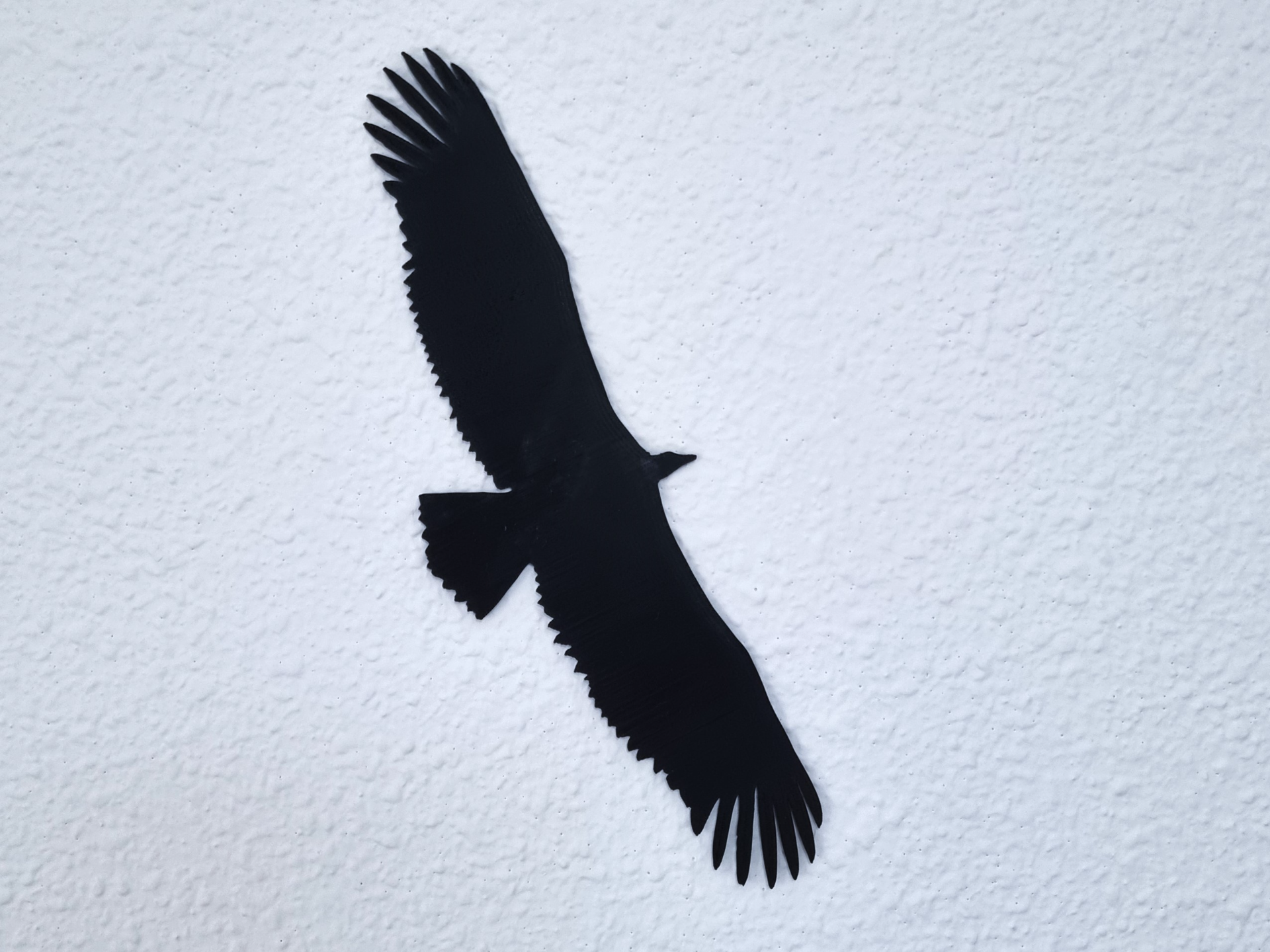 Griffon Vulture Silhouette  Buitre leonado silueta
