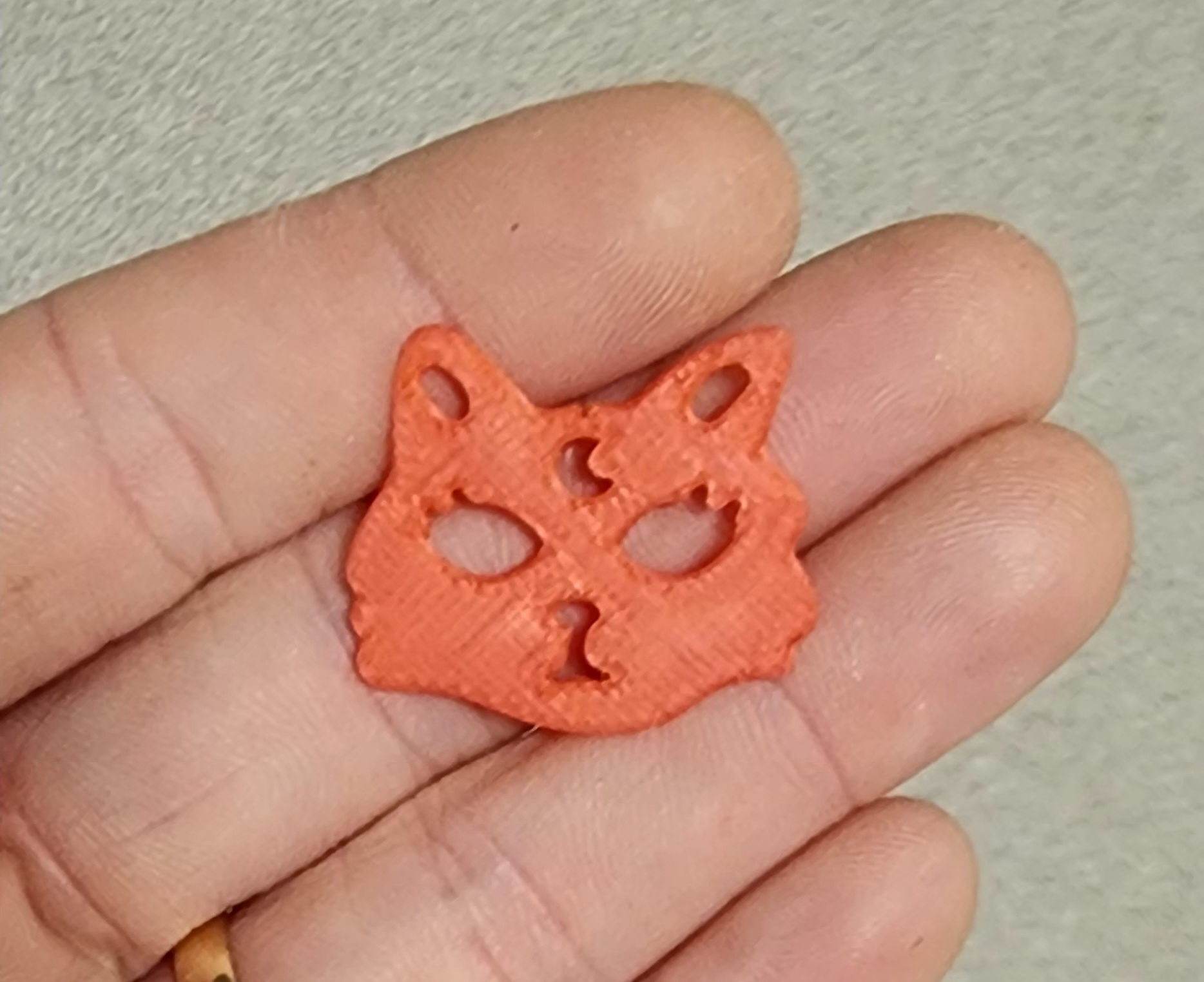 Kitty head