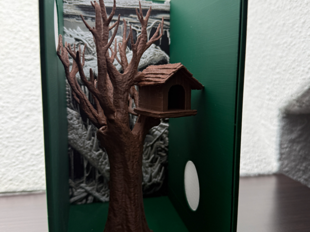 Jumping Spider Terrarium ca 10x15x20cm