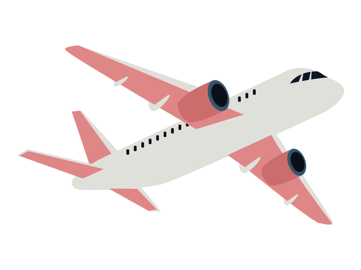 plane keychain