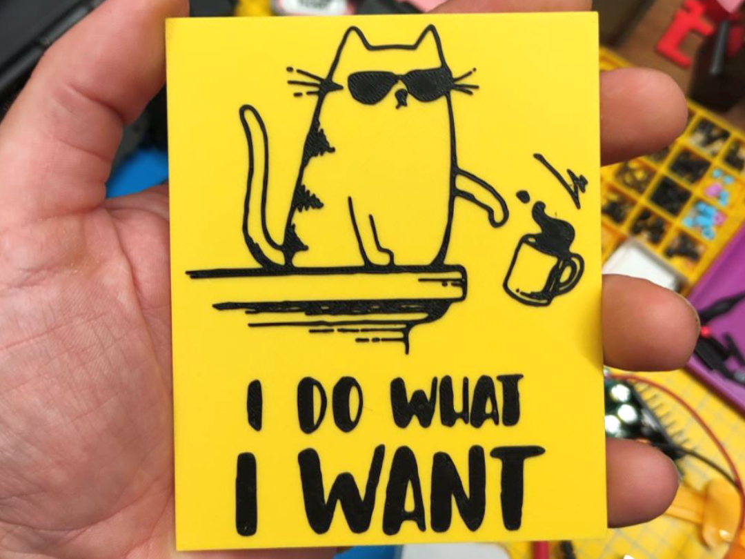 I do what i want - CAT