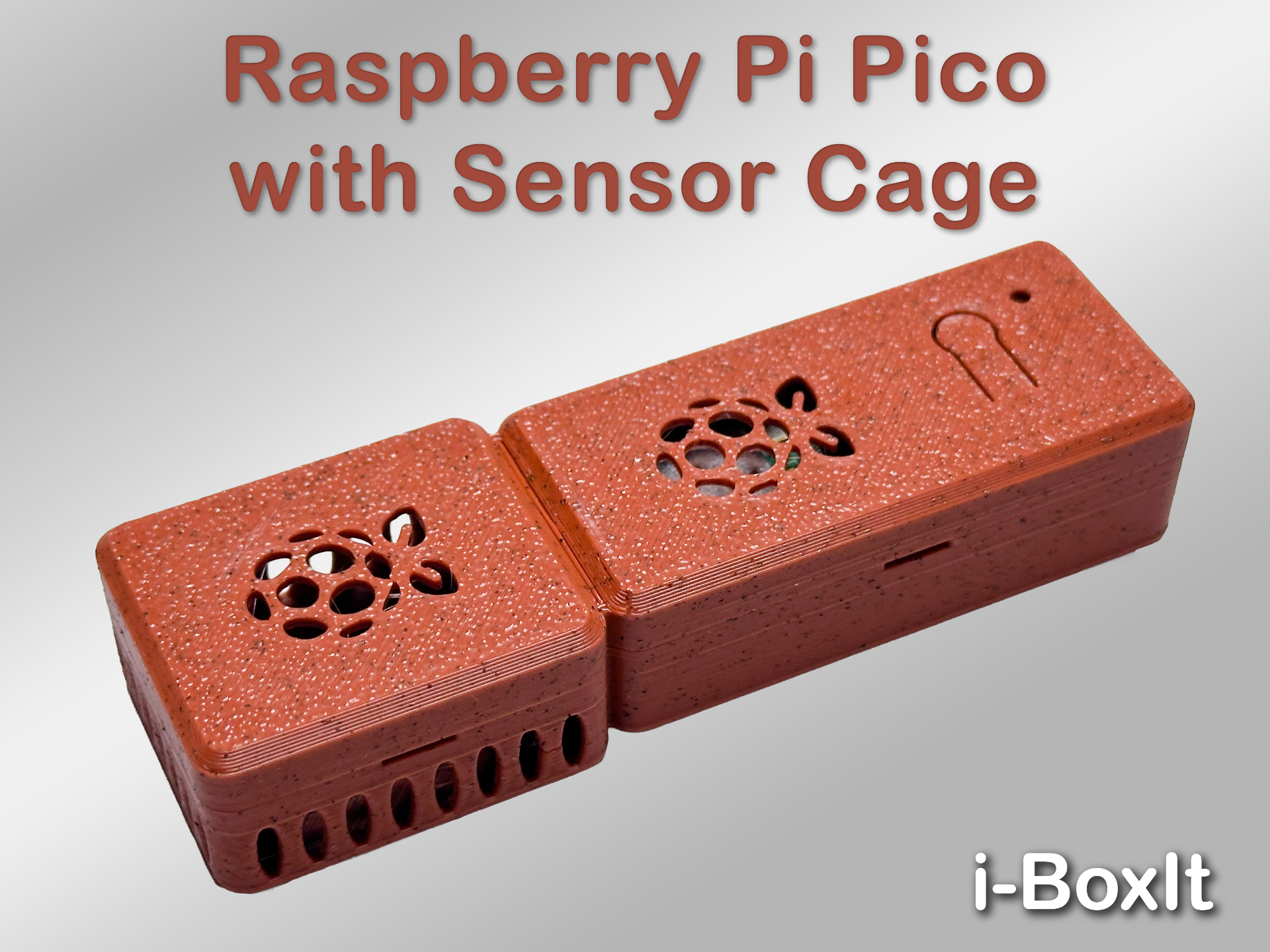 Raspberry Pi Pico Case with Sensor Cage