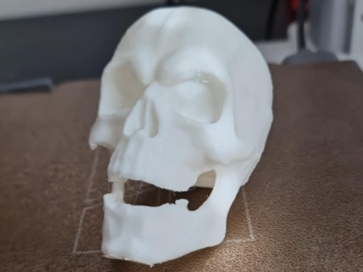 Human skull - AI