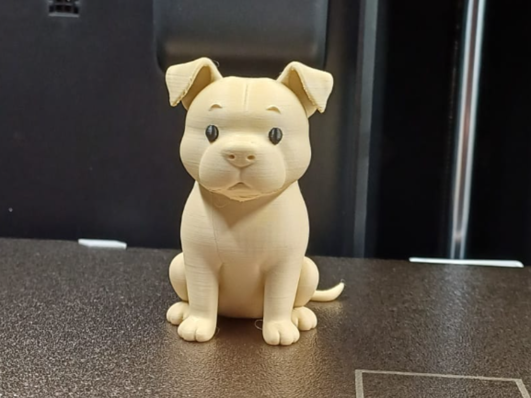 Cute Pitbull Puppy