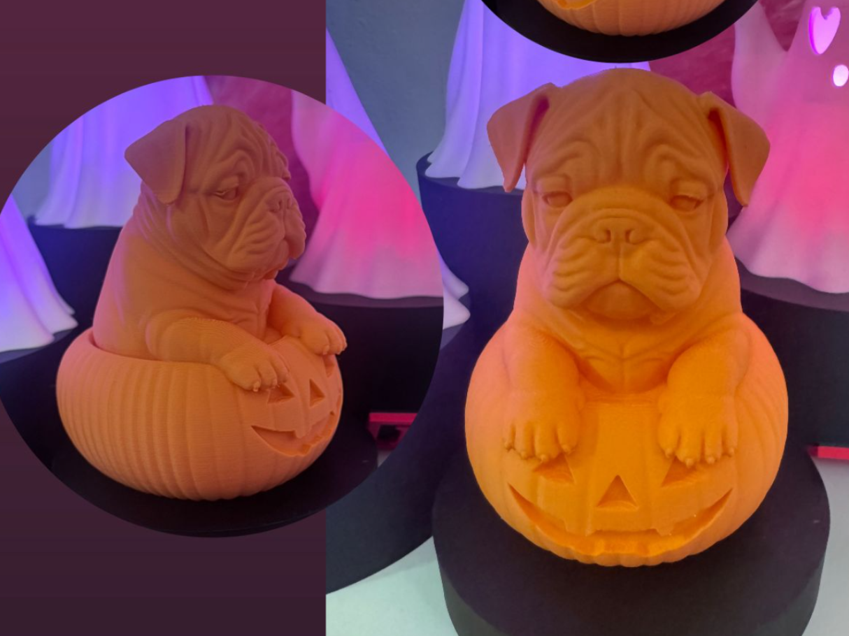 Halloween English Bulldog Dog in Pumpkin ornament