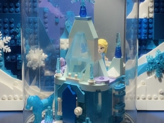 Display Case