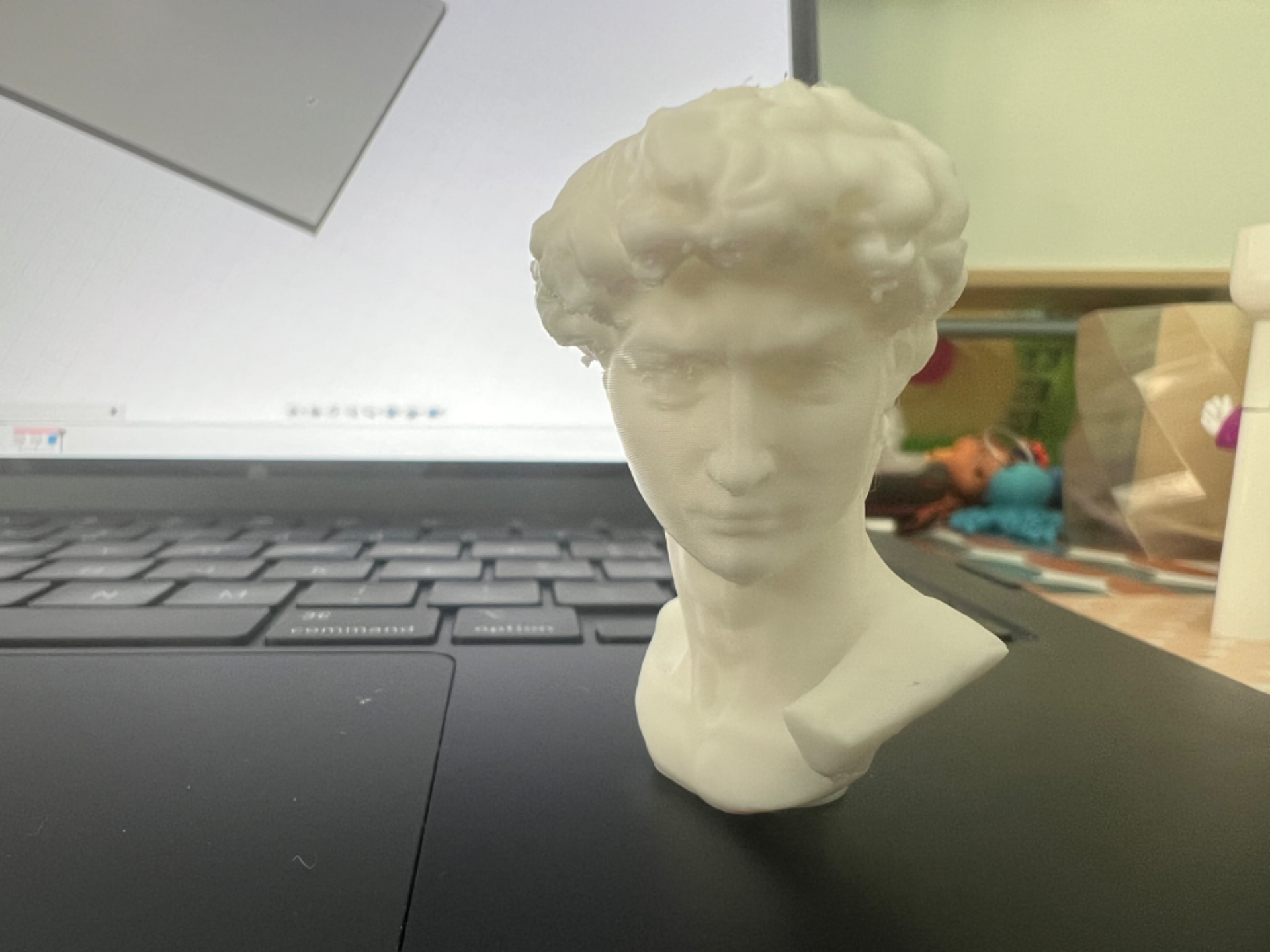 Michelangelo's David Head - High Resolution model