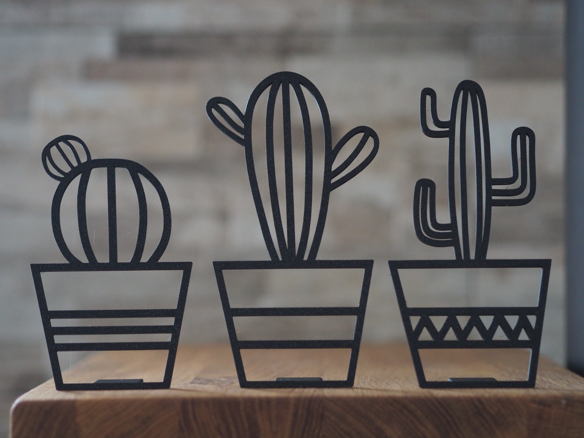 Cactus set
