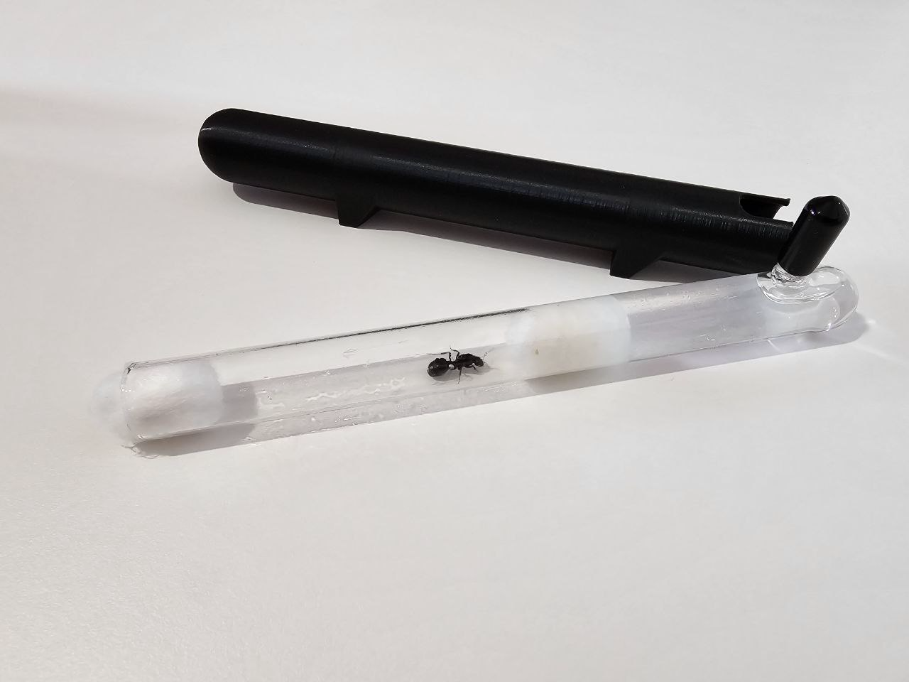 Test tube cover for queen ant nest