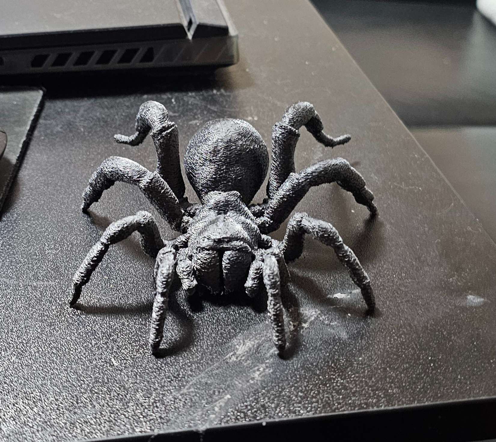 Tarantula spider