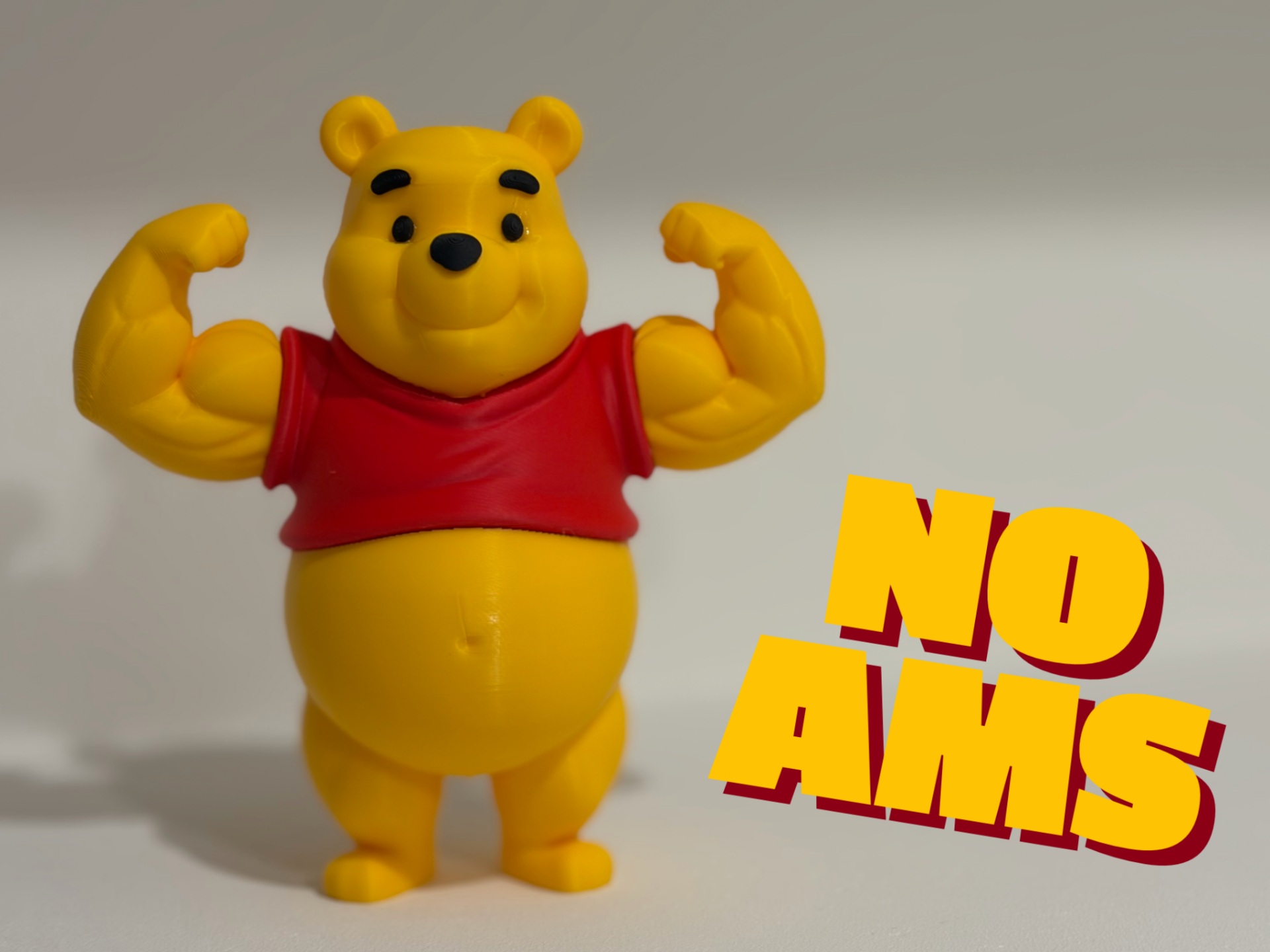 Winnie Pooh – Arm Day Only - NO AMS!