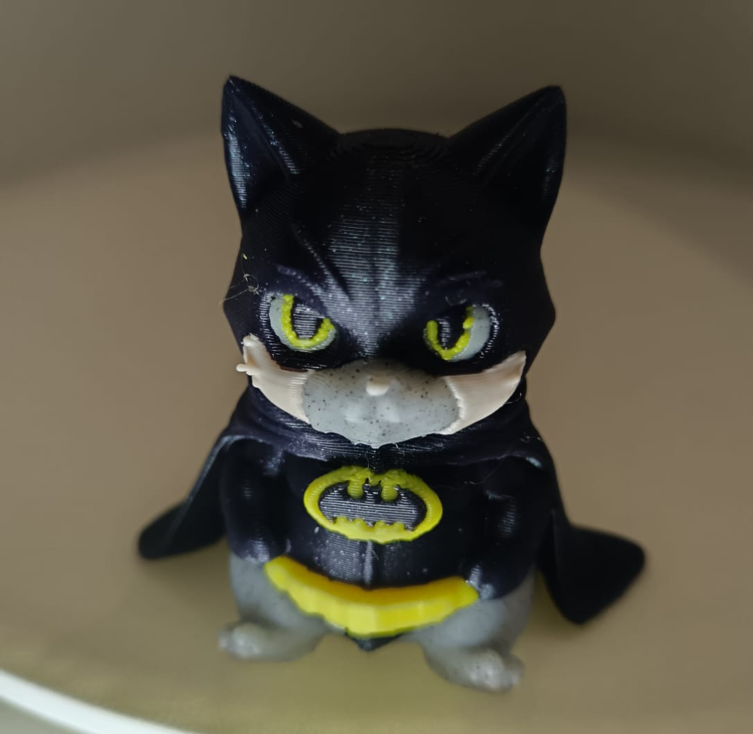 Batcat, Batman's mascotte