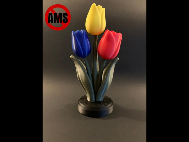 Tulip Flower Display 3