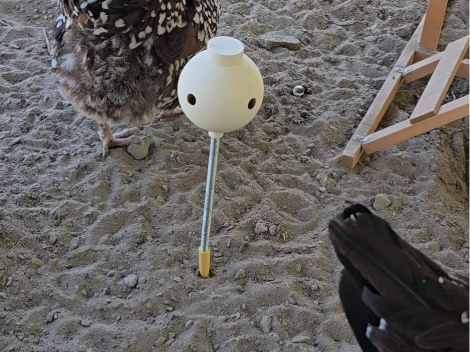 Chicken Treat Ball