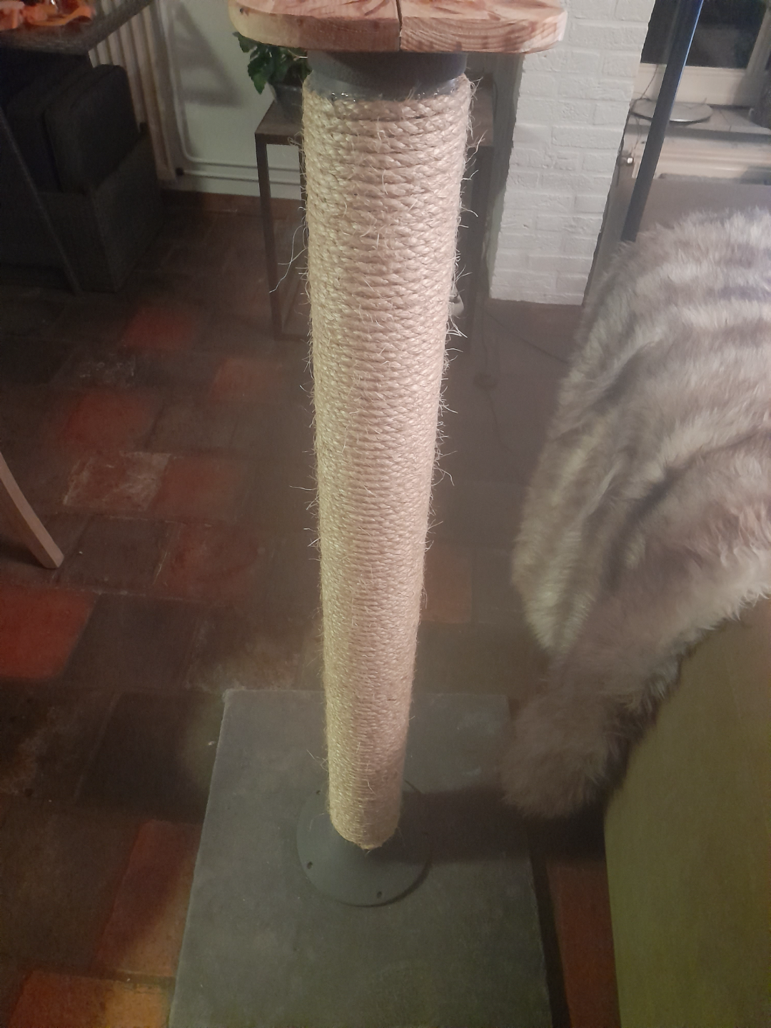 Cat scratching post