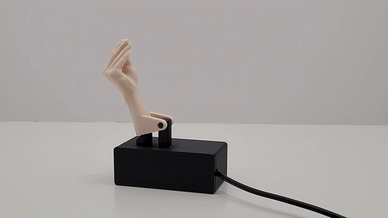 Motorized Italian Gesture