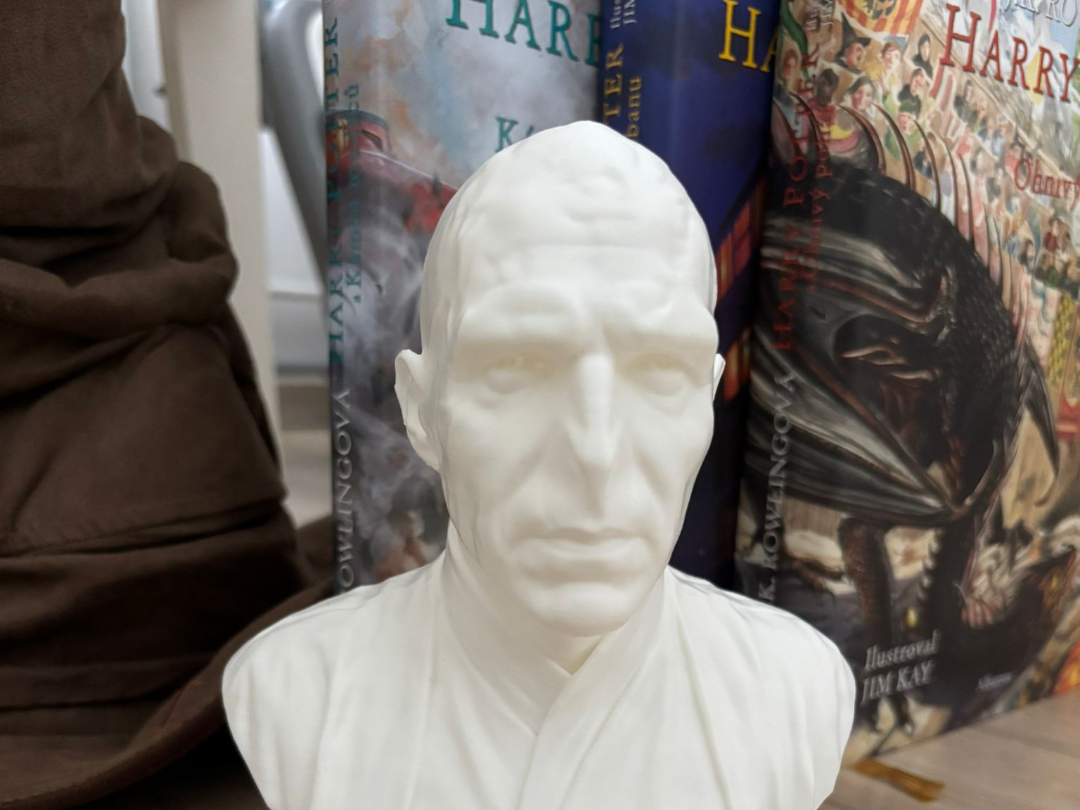 Lord Voldemort buste