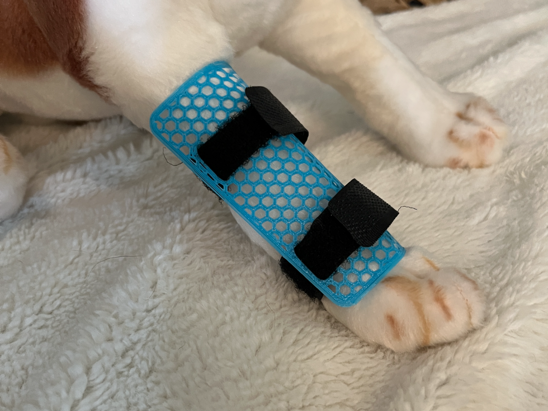 Veterinary Catheter Chew Guards