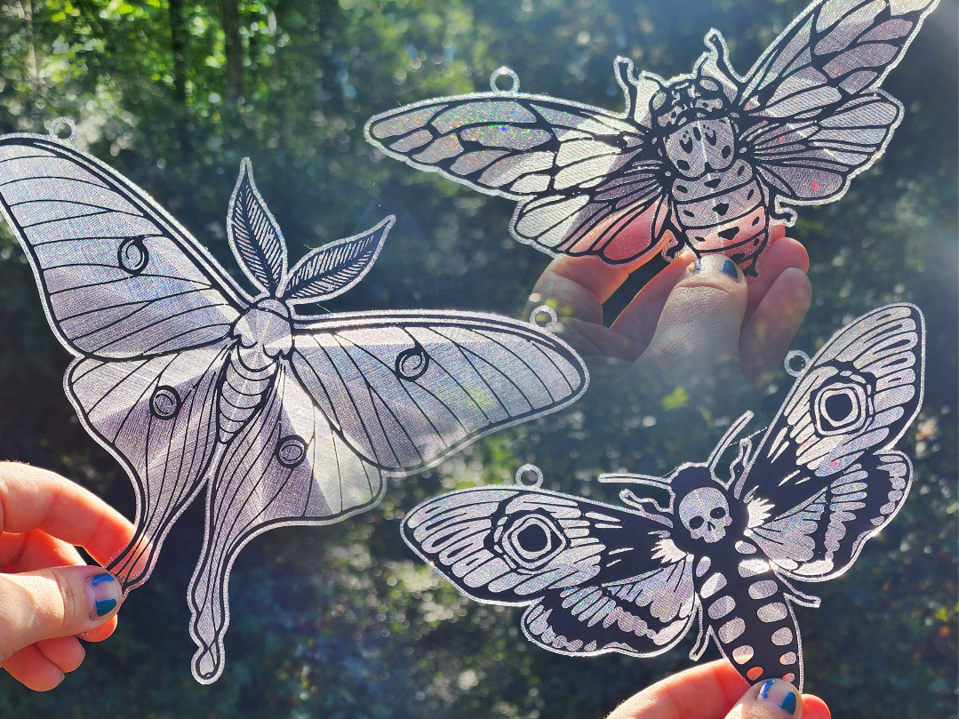Insect Suncatchers/Faux Stained Glass, Easy Print