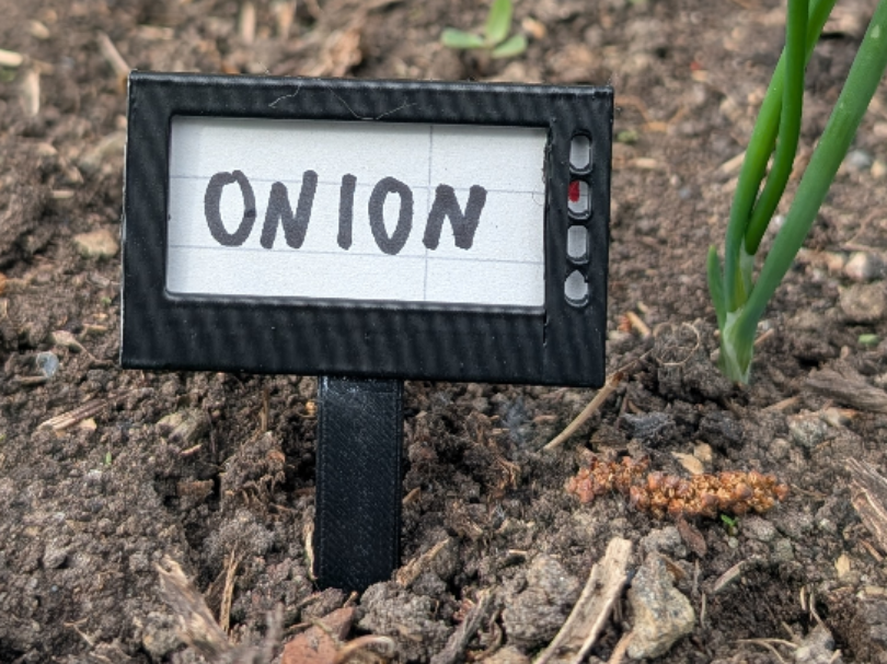 Plant Stake: Paper Label + Watering Indicator